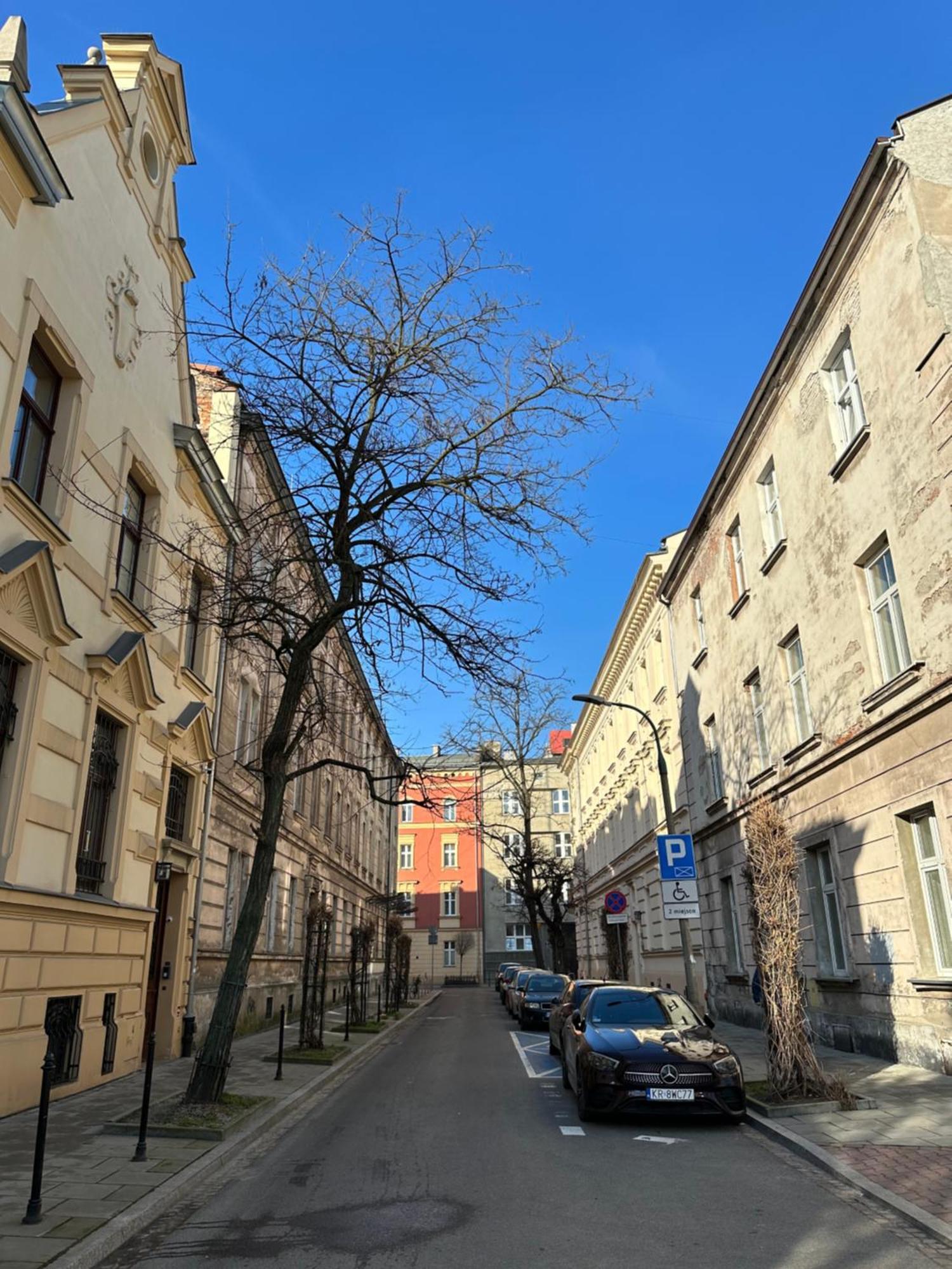 Perfect Place To Stay In Krakow City Center 36M2 W3 المظهر الخارجي الصورة